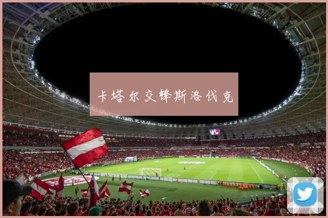卡塔尔交锋斯洛伐克