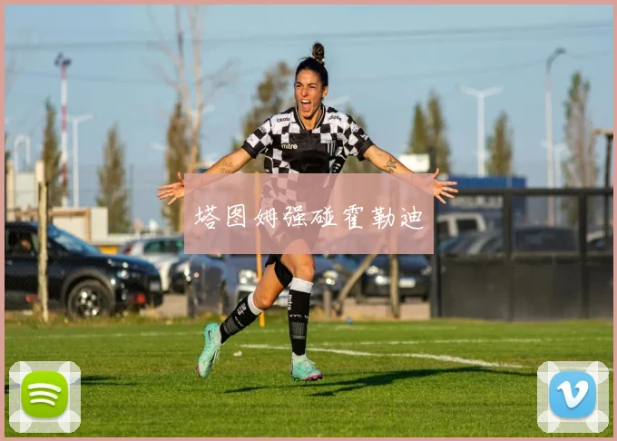 塔图姆强碰霍勒迪