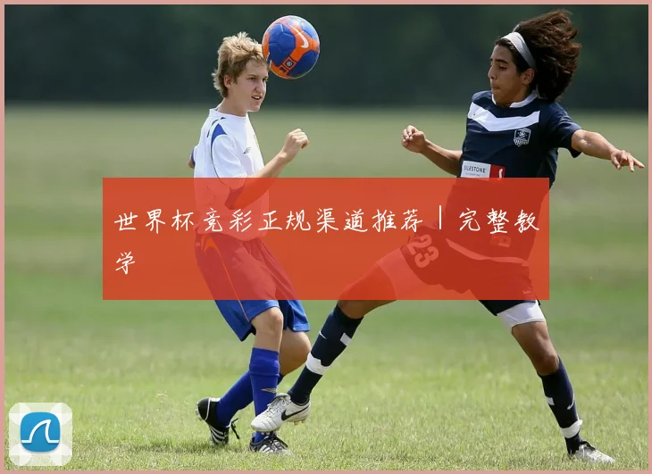 世界杯竞彩正规渠道推荐｜完整教学