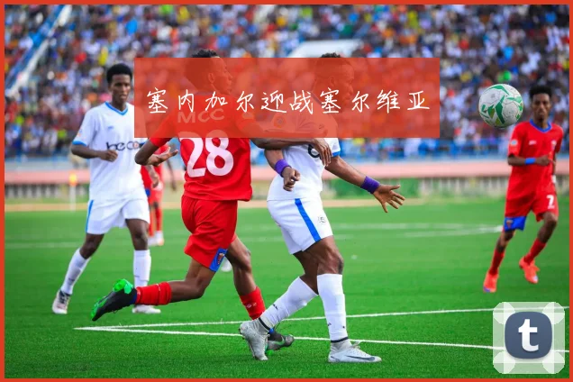 塞内加尔迎战塞尔维亚